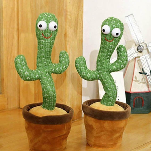 Cactus Dansant - EiZak 